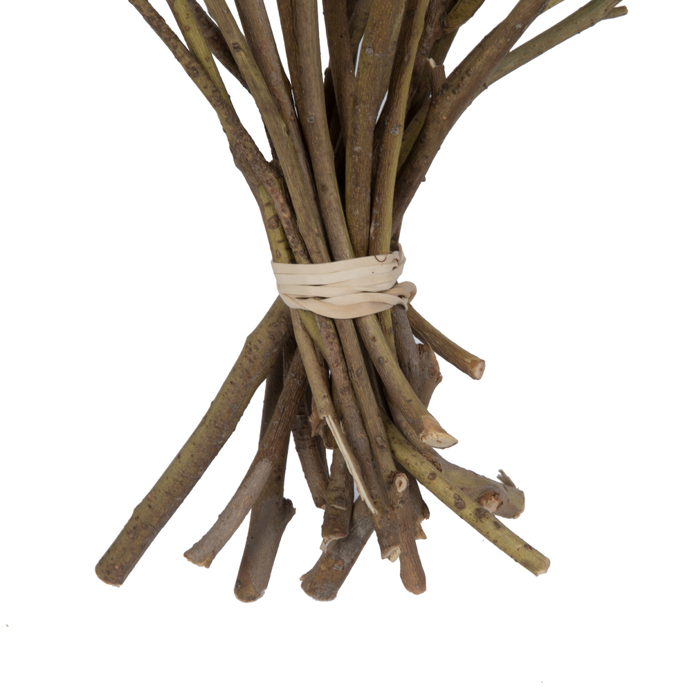 Vickerman Natural Botanicals 11" x 2-4" Conical Gum Branch, 20 stems per unit