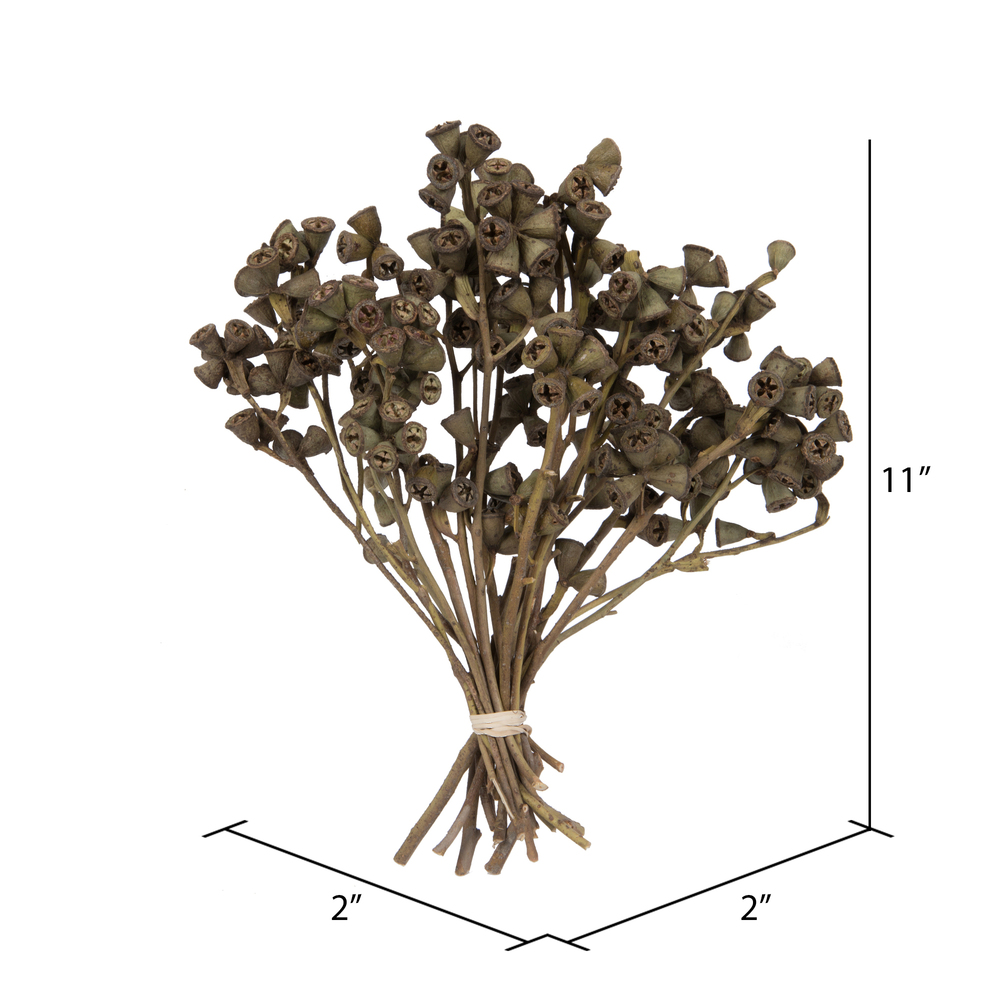 Vickerman Natural Botanicals 11" x 2-4" Conical Gum Branch, 20 stems per unit