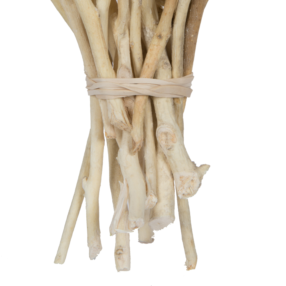 Vickerman Natural Botanicals 11" x 2-4" Conical Gum Branch, 20 stems per unit