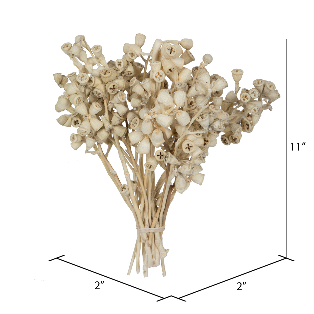 Vickerman Natural Botanicals 11" x 2-4" Conical Gum Branch, 20 stems per unit