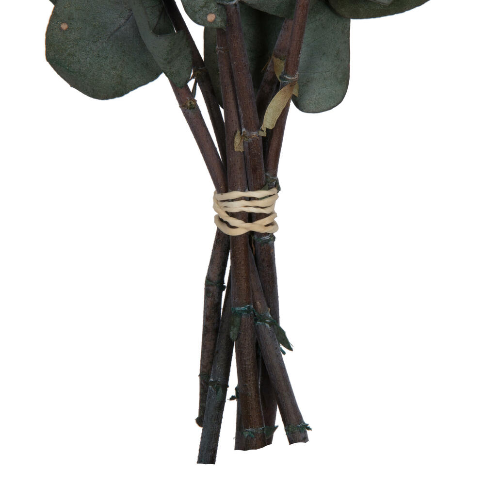 Vickerman Natural Botanicals 18-20" x 9" Eucalyptus Spiral, 100 grams per unit