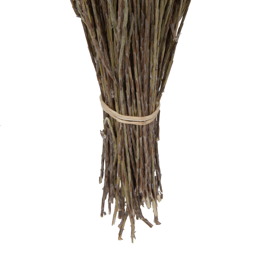 Everlasting Flower Stem