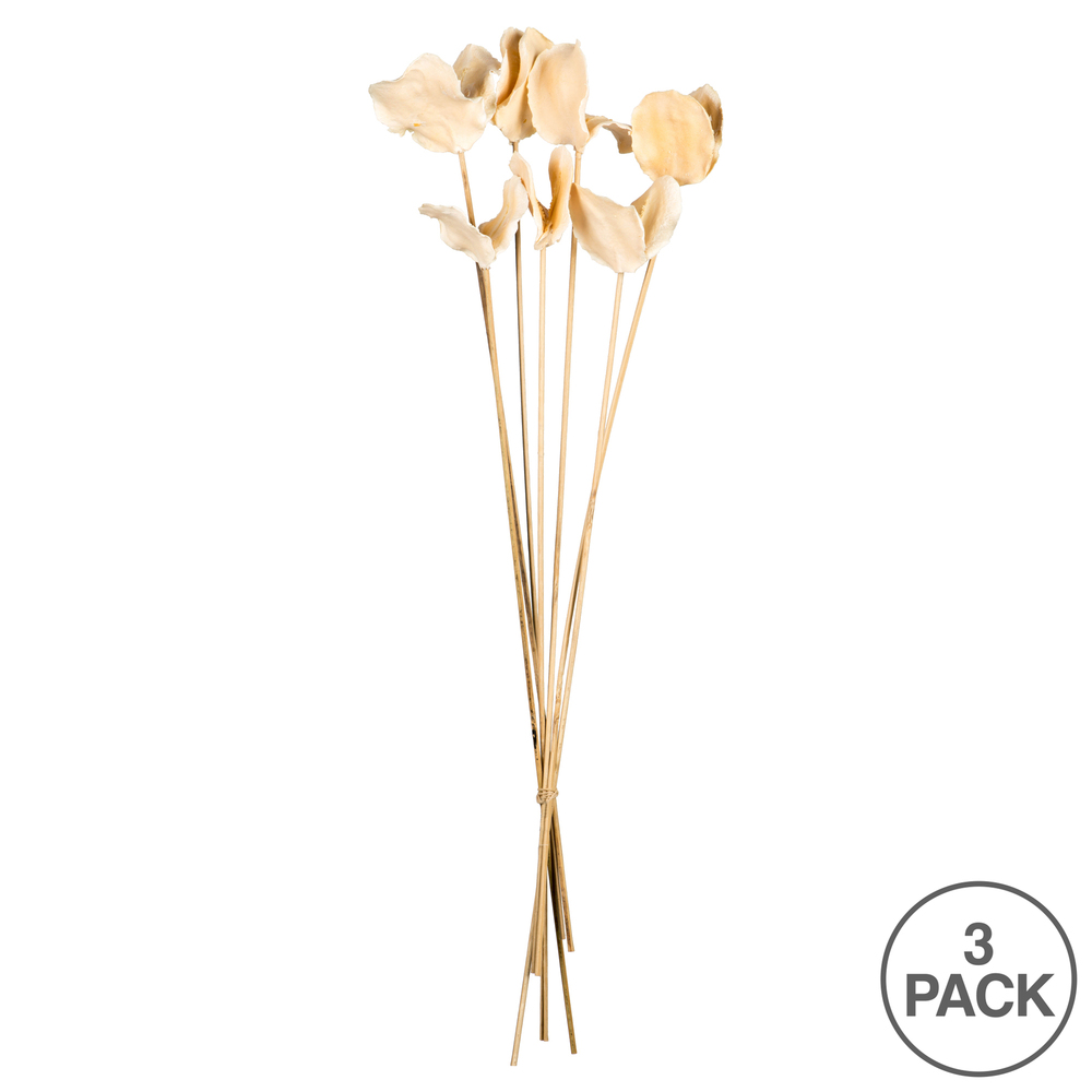 Vickerman 15-17" Bleached Jacaranda, Dried