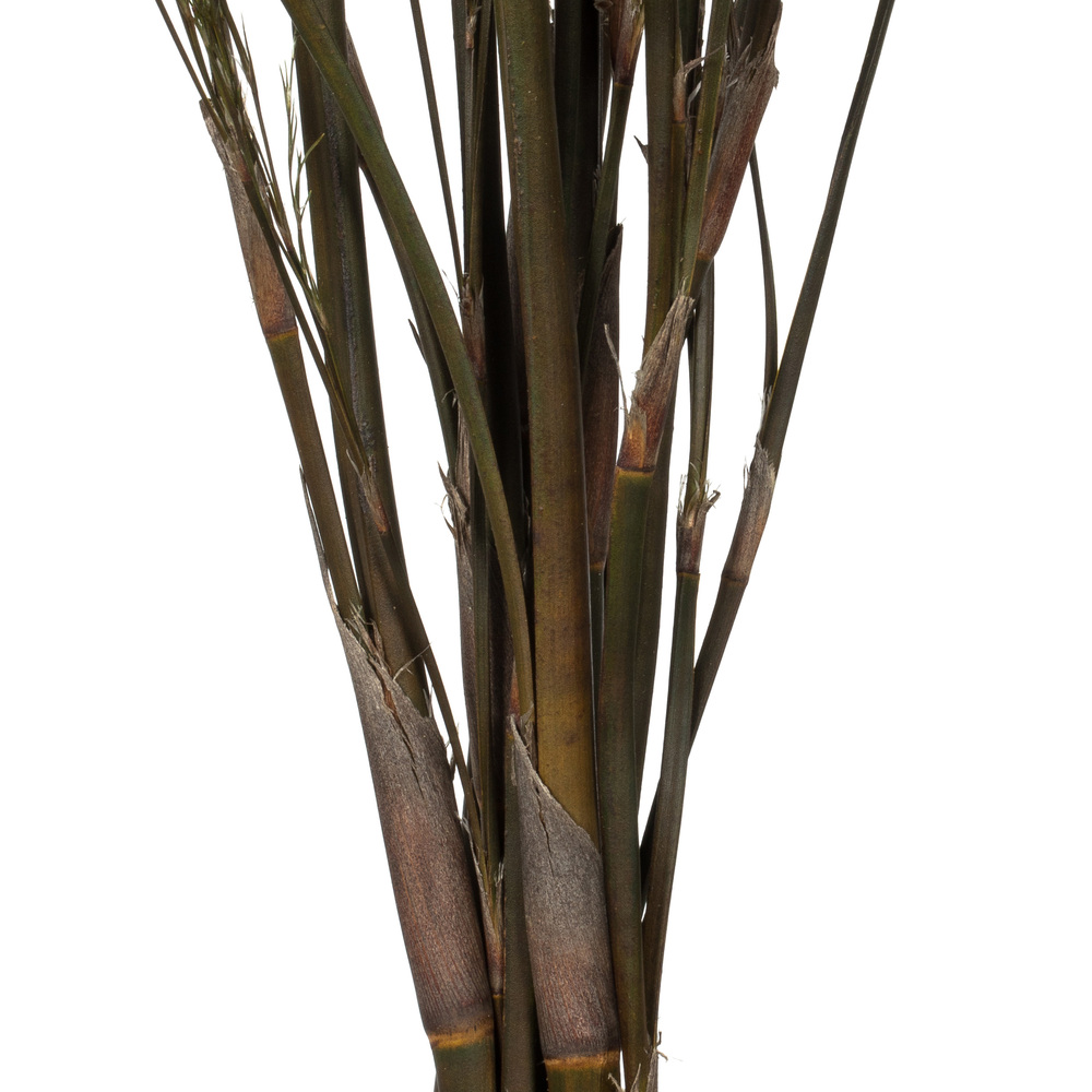 Vickerman Green Reed Grass Bundle