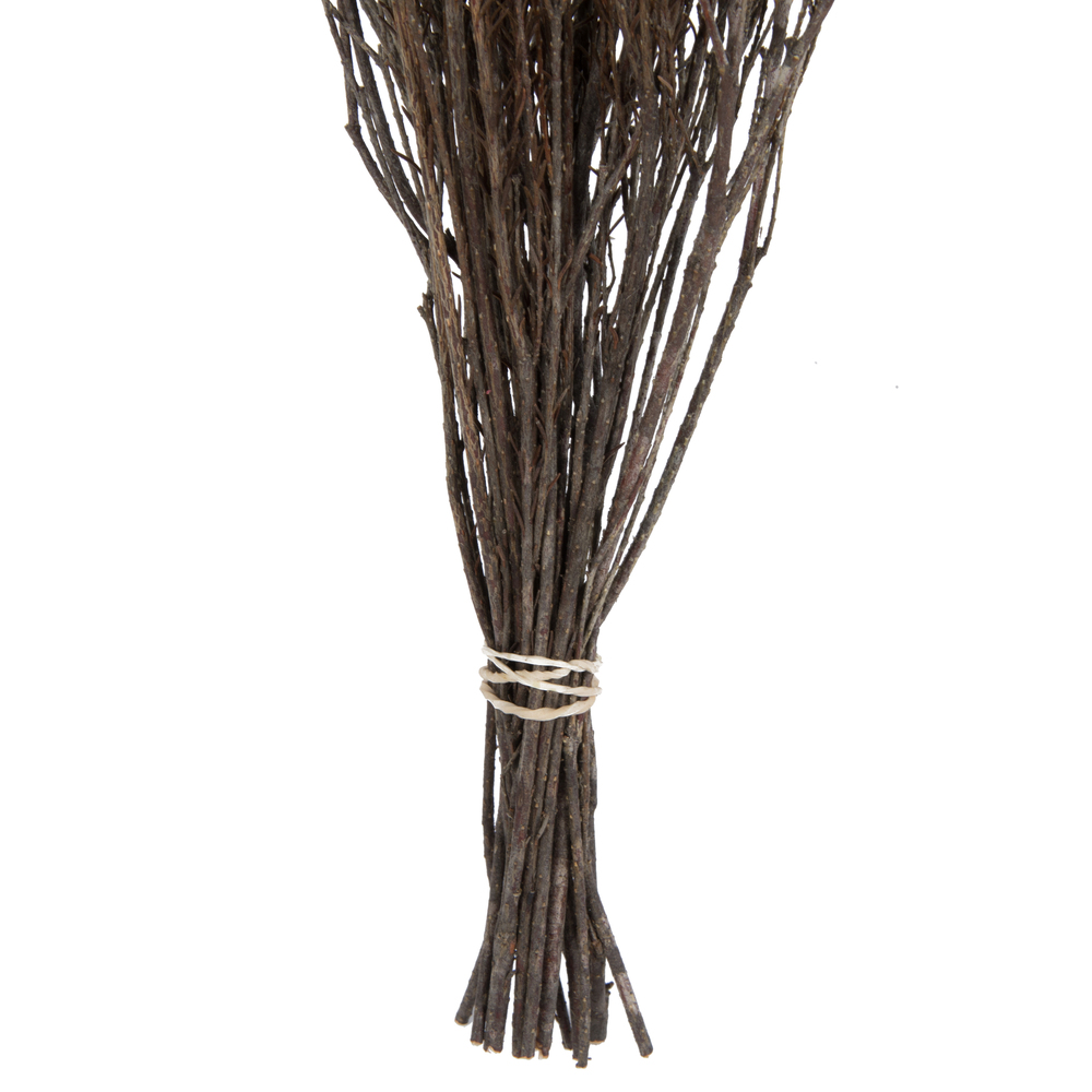 Vickerman Natural Botanicals 19" x 4" Staavia, 100 grams per Unit