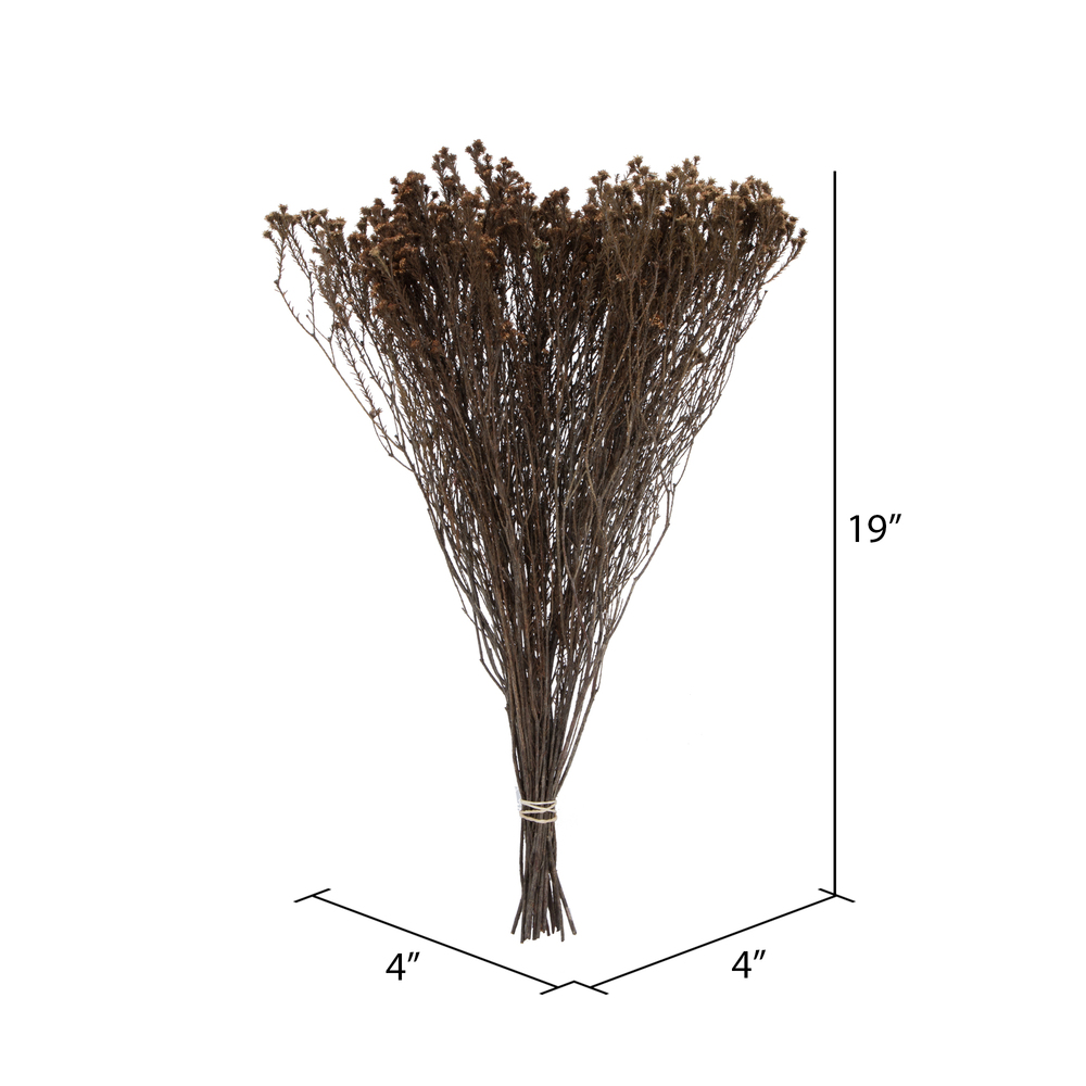 Vickerman Natural Botanicals 19" x 4" Staavia, 100 grams per Unit