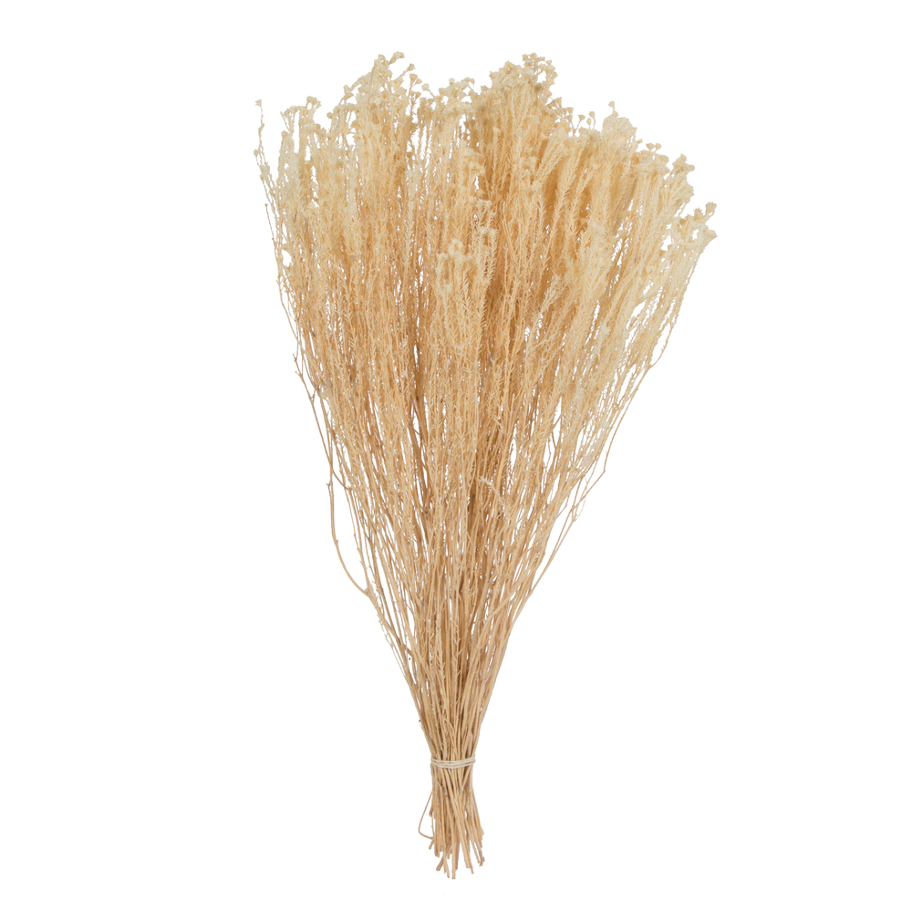 Vickerman Natural Botanicals 19" x 4" Staavia, 100 grams per Unit