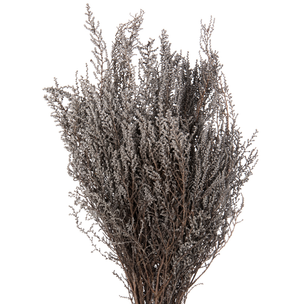 Vickerman 14"-18" Stoebe Bundle, Preserved