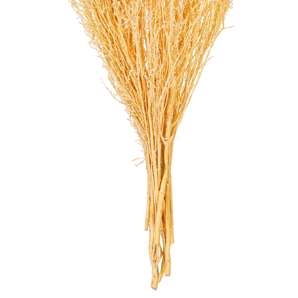 18" Bleached Stoebe 2.5 oz Bunch