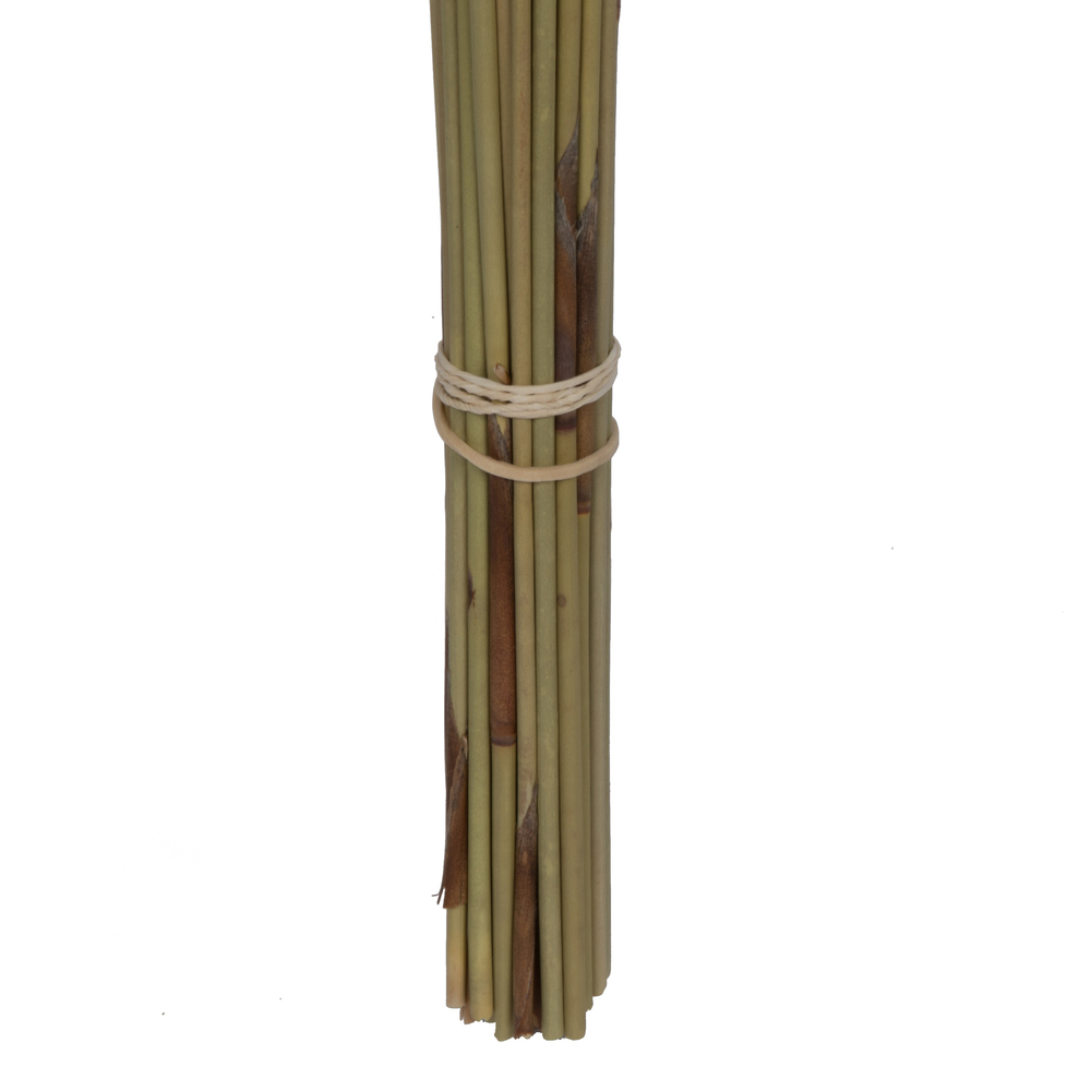 33"x5" Thatch Reed 3.5oz Bunch