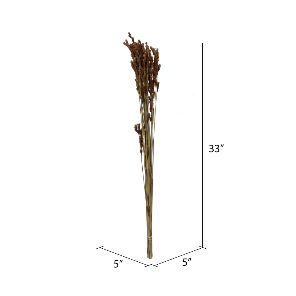 33"x5" Thatch Reed 3.5oz Bunch