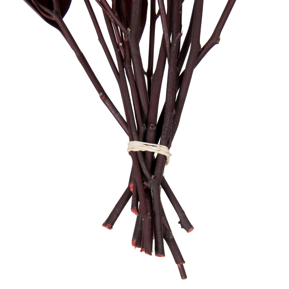 Vickerman Natural Botanicals Red Eucalyptus Willow