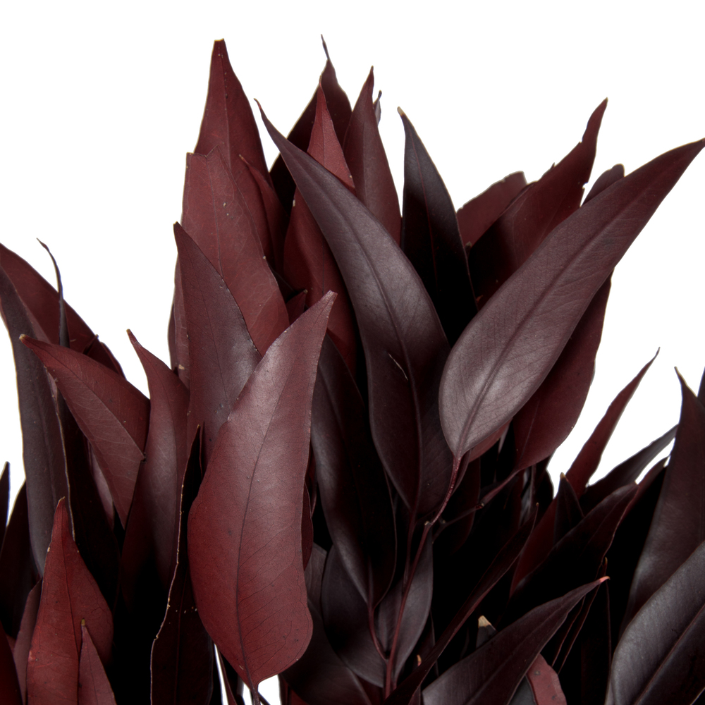 Vickerman Natural Botanicals Red Eucalyptus Willow