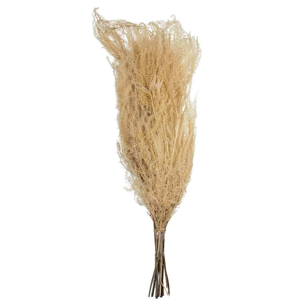 26" Bleached Andares Fern - 4 oz