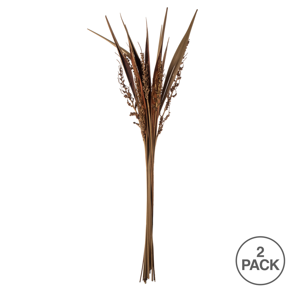 Vickerman 36" Bahia Spears with Seeds, Dried 18 Pack