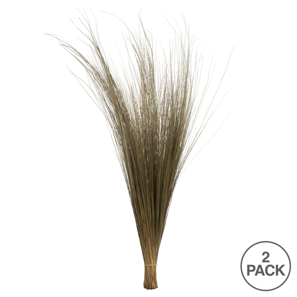 Vickerman 35"-40" Bright Grass Bundle, Dried
