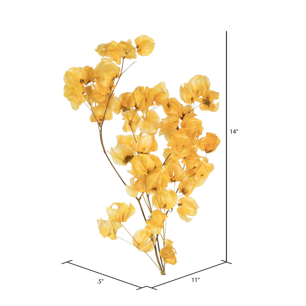Vickerman Cara Blossom Spray