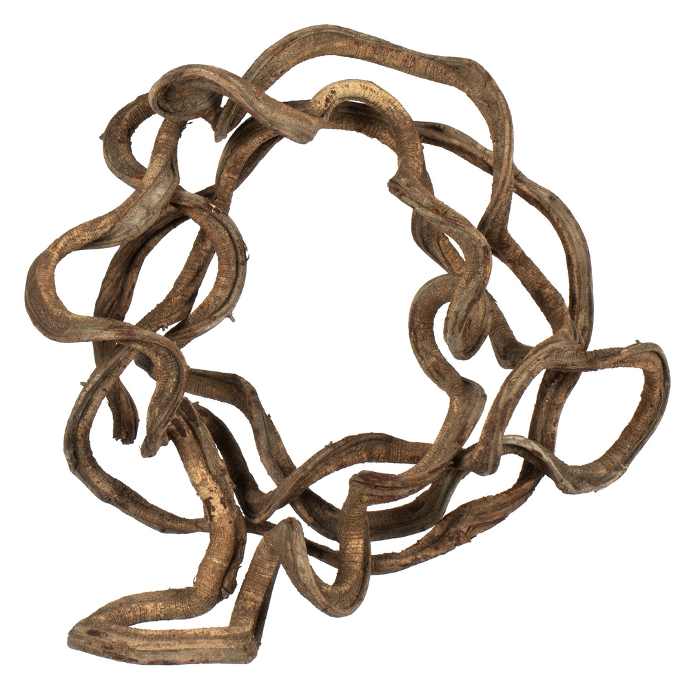 Vickerman 13" Coiled Vine, Dried