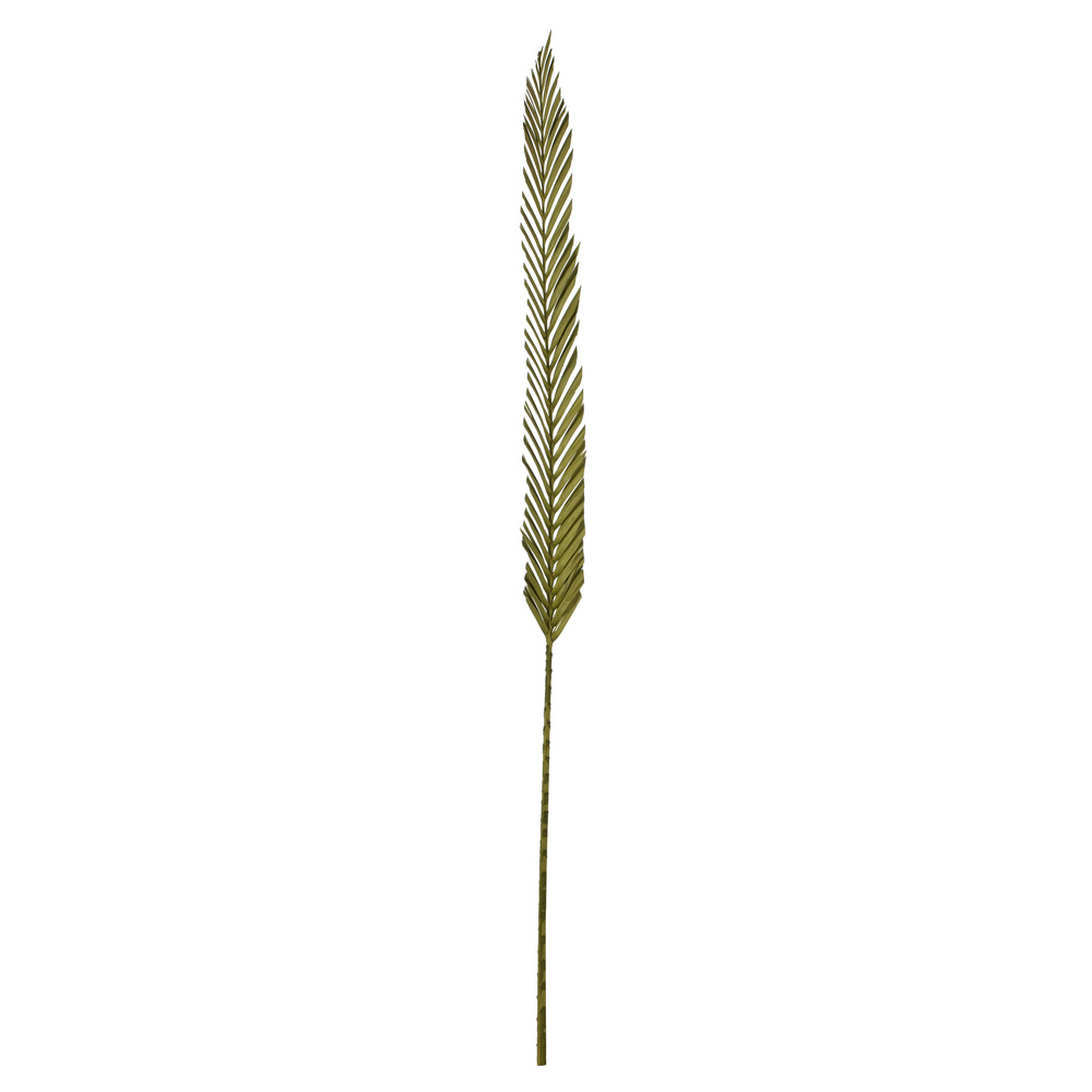 38-48" Basil Coco Palm Designer Cut 6/pk