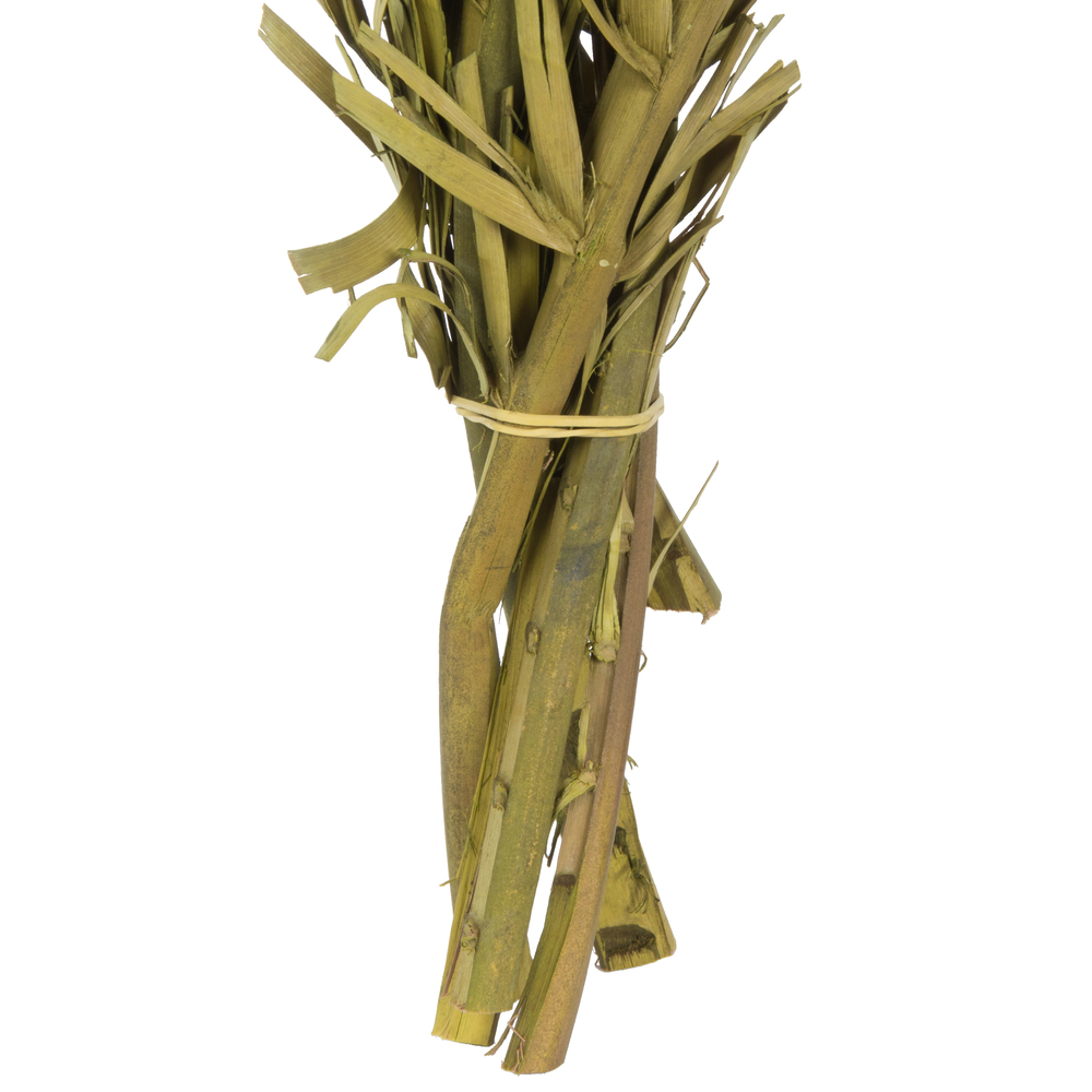 Vickerman 40-48" Twisted Coco Palm Stems, Dried
