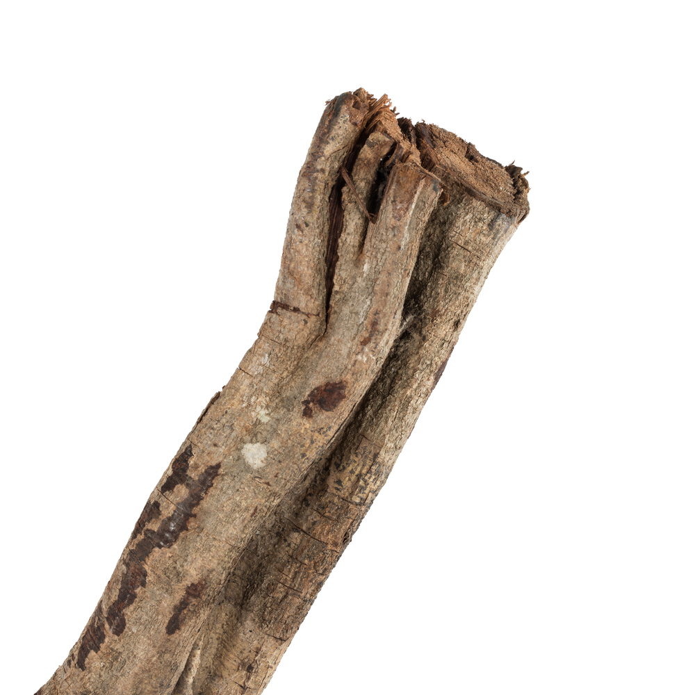 72-84" Natural Giant Jungle Vine - 1 pc