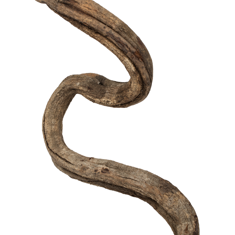 72-84" Natural Giant Jungle Vine - 1 pc