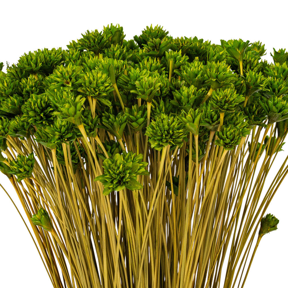 Vickerman 14" Dried Hil Flower Bunch, 16 oz