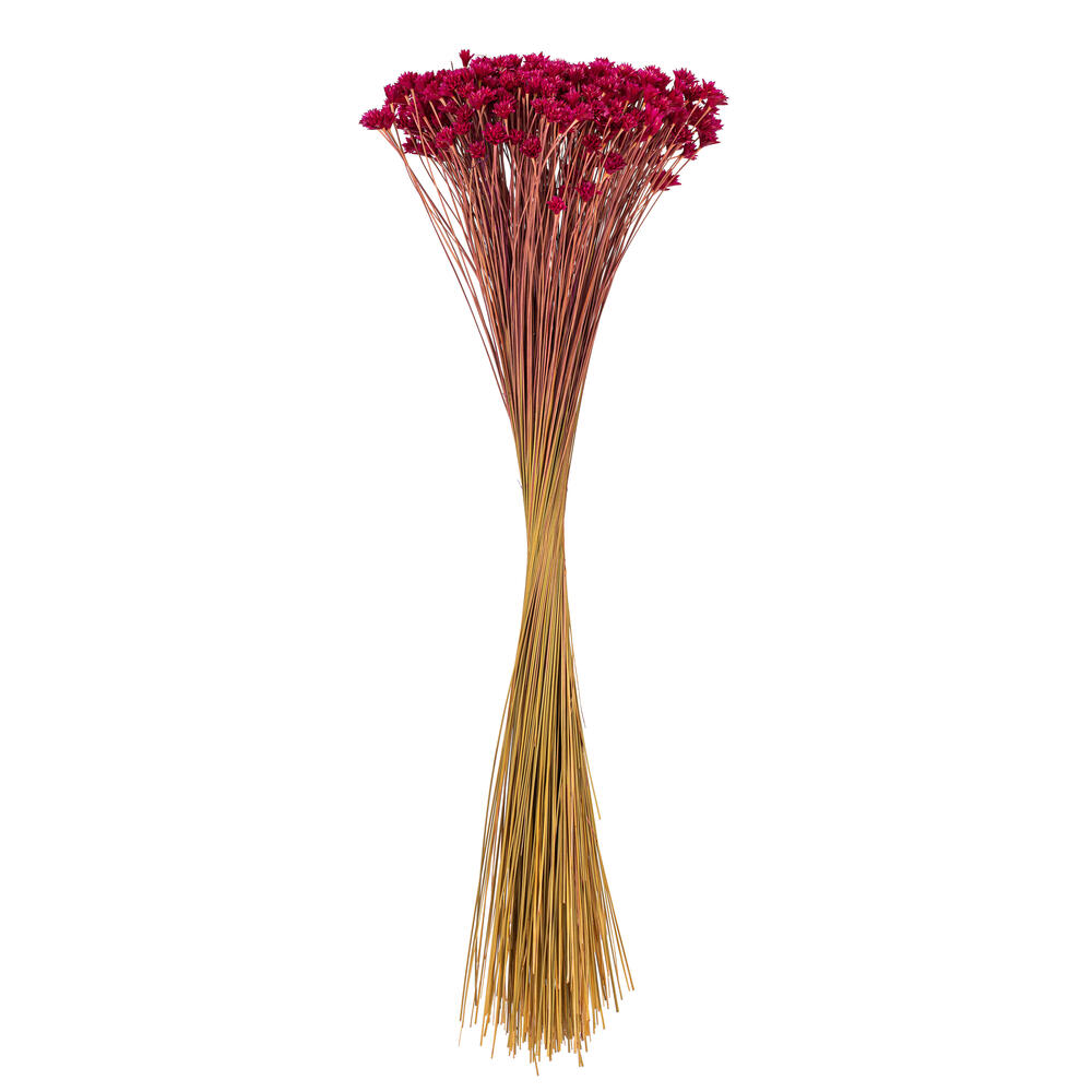 Vickerman 14" Dried Hil Flower Bunch, 16 oz