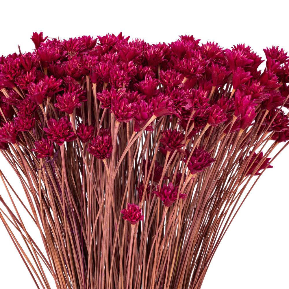 Vickerman 14" Dried Hil Flower Bunch, 16 oz