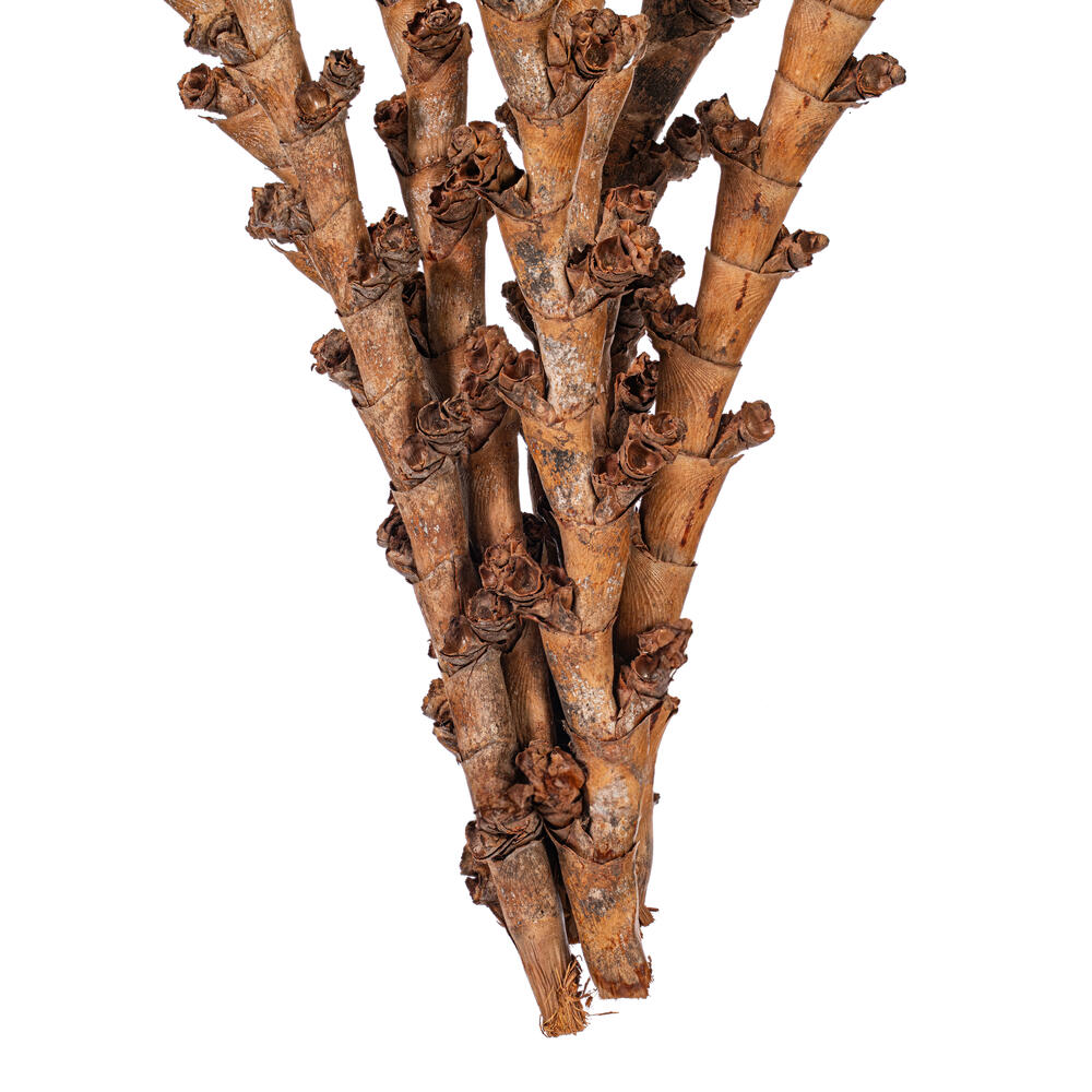 18" Dried Natural Buriti Twig 18/Bag