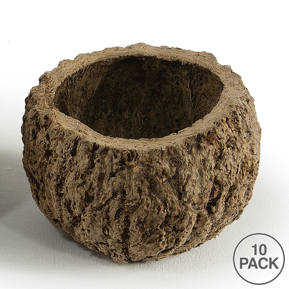 Vickerman all Natural Mayan Coconut, Dried