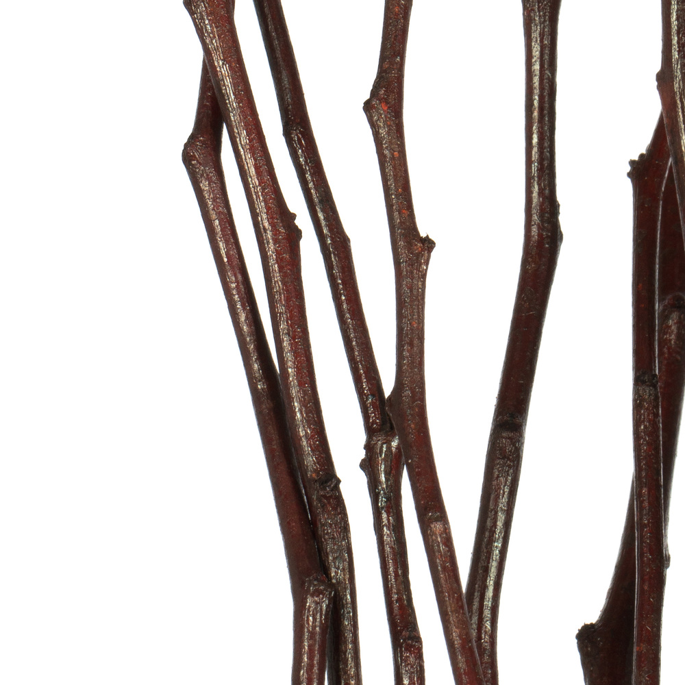 Vickerman 34-40" Moneta Branches, Dried 8oz