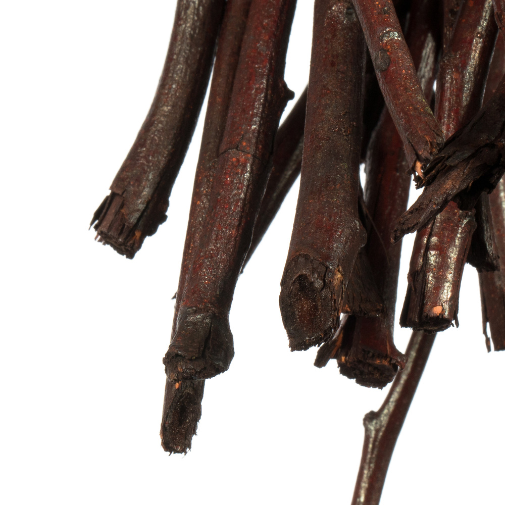 Vickerman 34-40" Moneta Branches, Dried 8oz