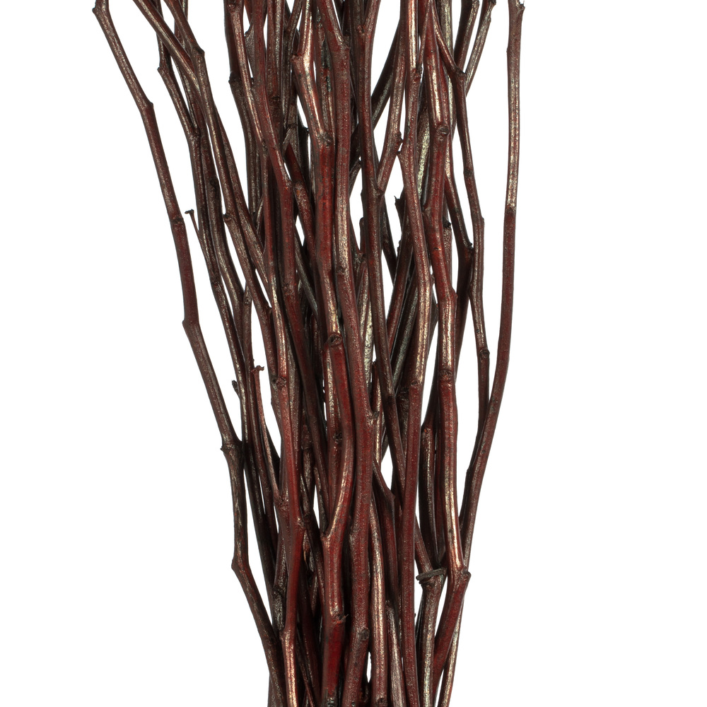 Vickerman 34-40" Moneta Branches, Dried 8oz