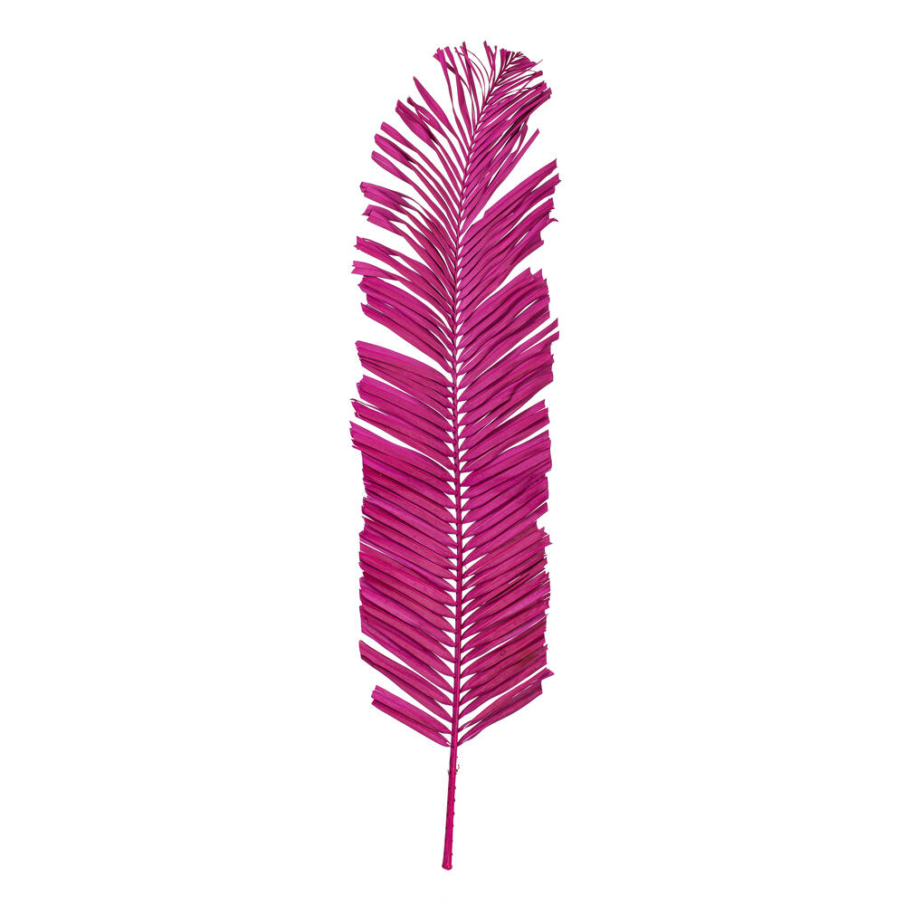 Vickerman 44" Round Tip Palm Leaf, 6 per bag