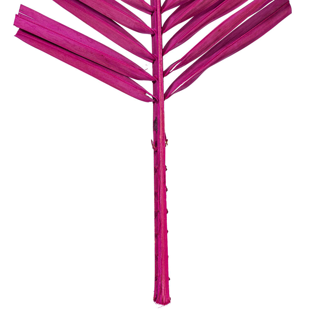 Vickerman 44" Round Tip Palm Leaf, 6 per bag