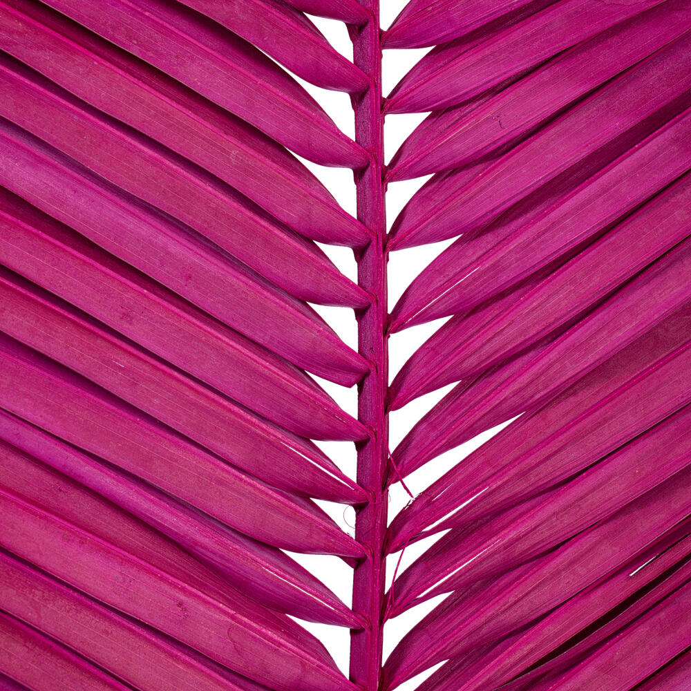Vickerman 44" Round Tip Palm Leaf, 6 per bag