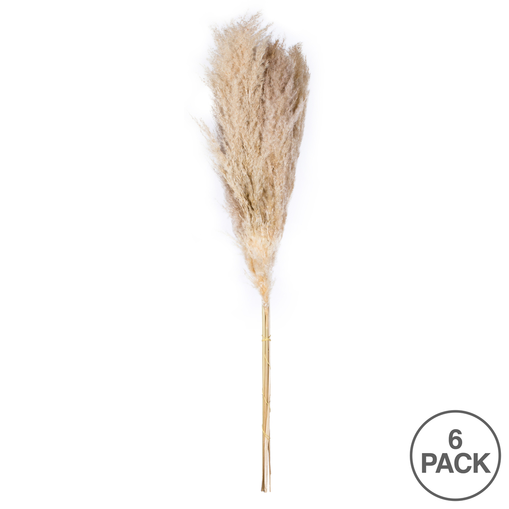 Vickerman 46" Dried Pampas Grass