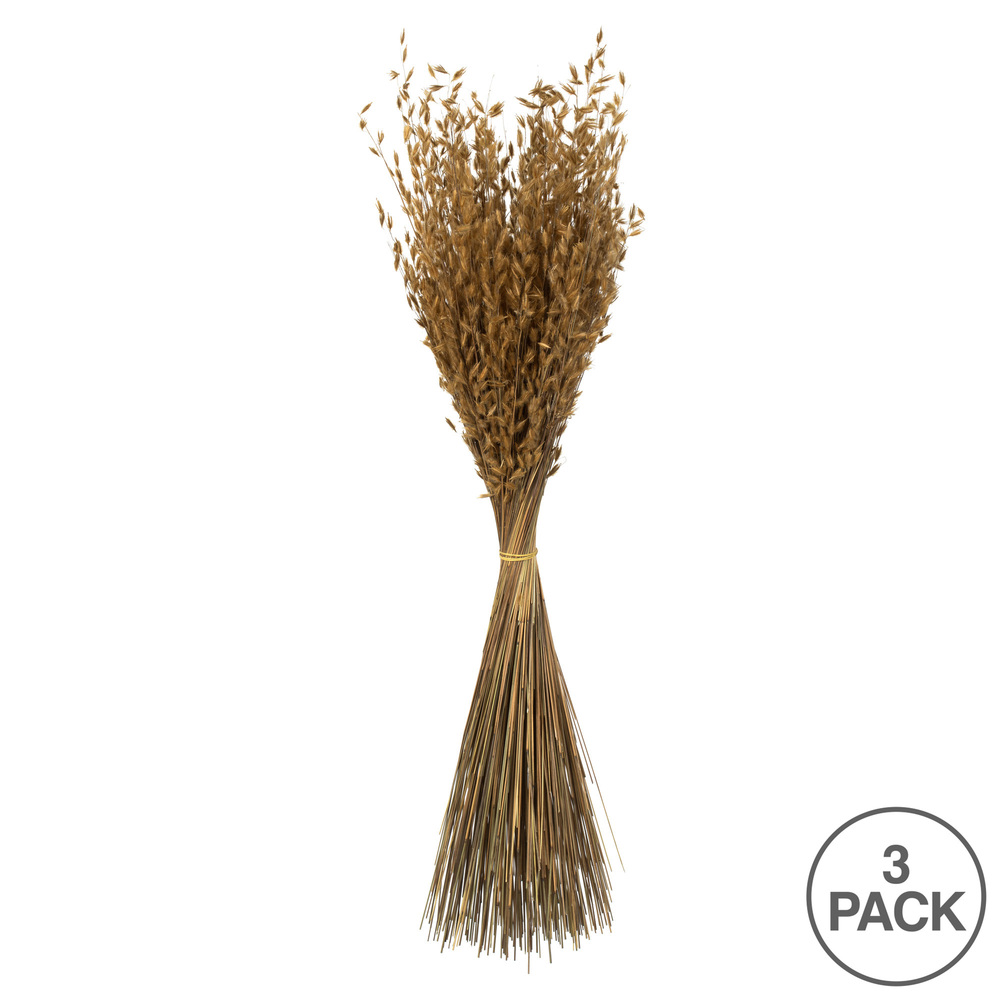 Vickerman 30" Princess Grass Bundle, Dried