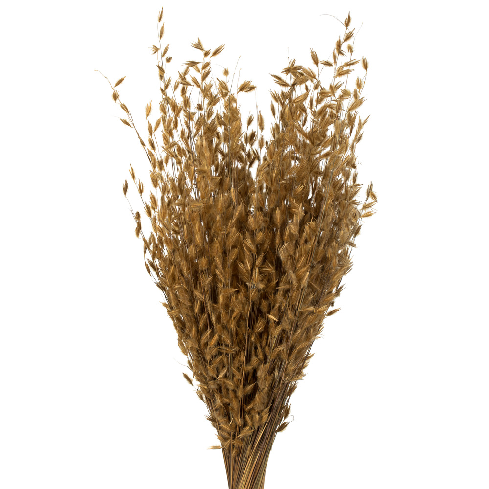 Vickerman 30" Princess Grass Bundle, Dried