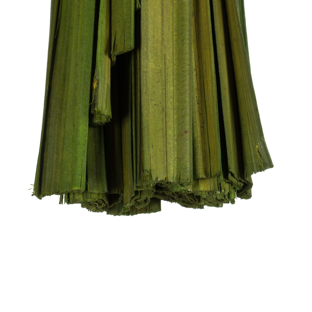 Vickerman Sable Grass, Dried
