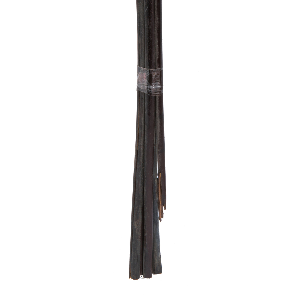 18-20" Natural Brown Skeleton Branch 3Pk