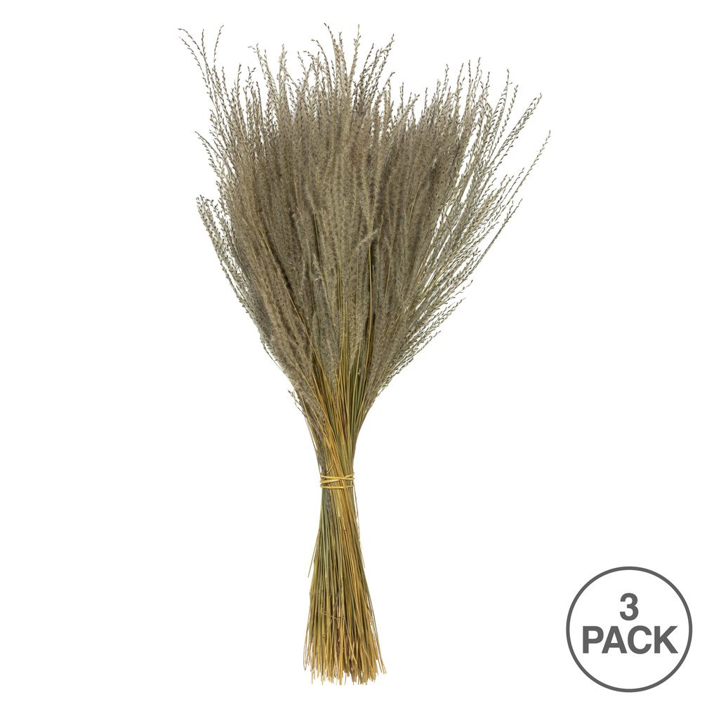 14-20" Natural Snowdrop Grass 9oz