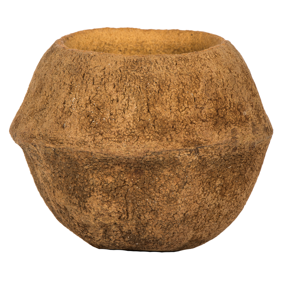 Vickerman 4" Sapa Pod, Dried