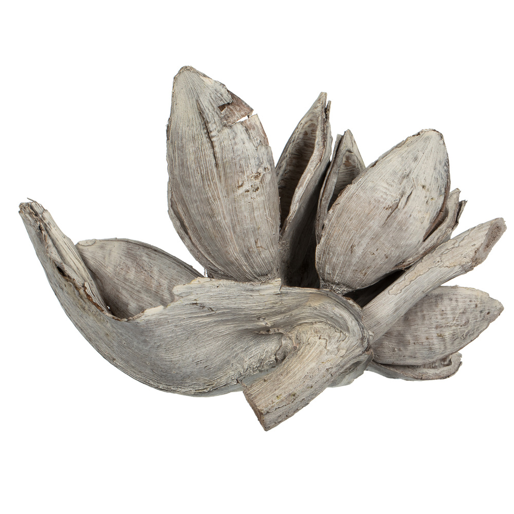 Vickerman 6" Star Pod, Dried