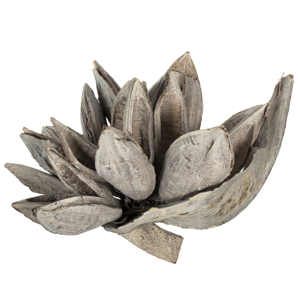 Vickerman 6" Star Pod, Dried