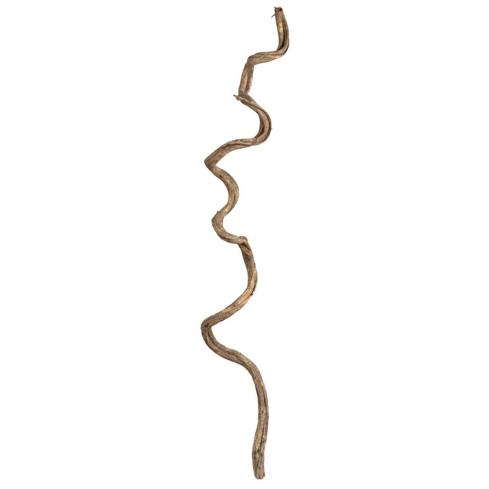 Vickerman 38-45" Twisted Vine, Dried