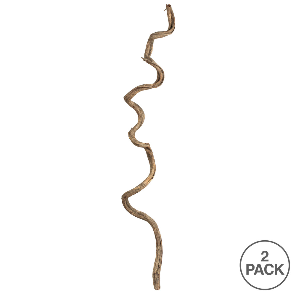 Vickerman 38-45" Twisted Vine, Dried