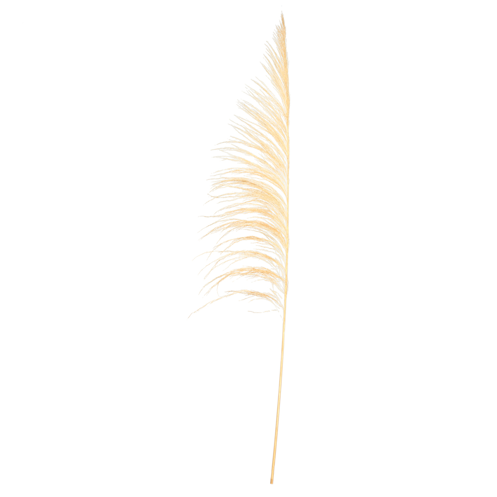 Vickerman 60-72" Uva Palm Spray