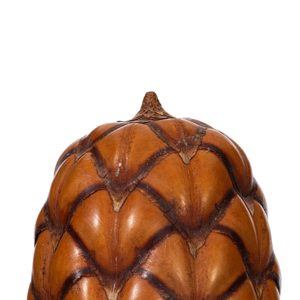 2"-3" Natural Uxi Pod 24/Bag